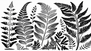 Mural - Wall Painting for Living Room - 021